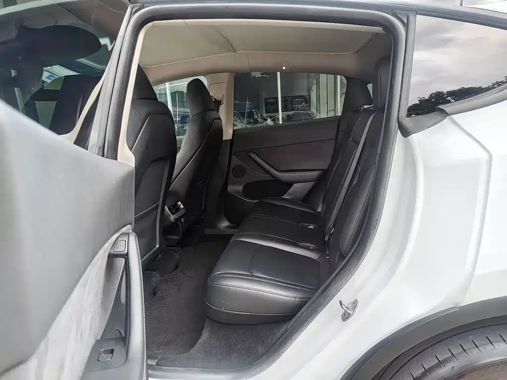 Tesla Model Y — миниатюра 5