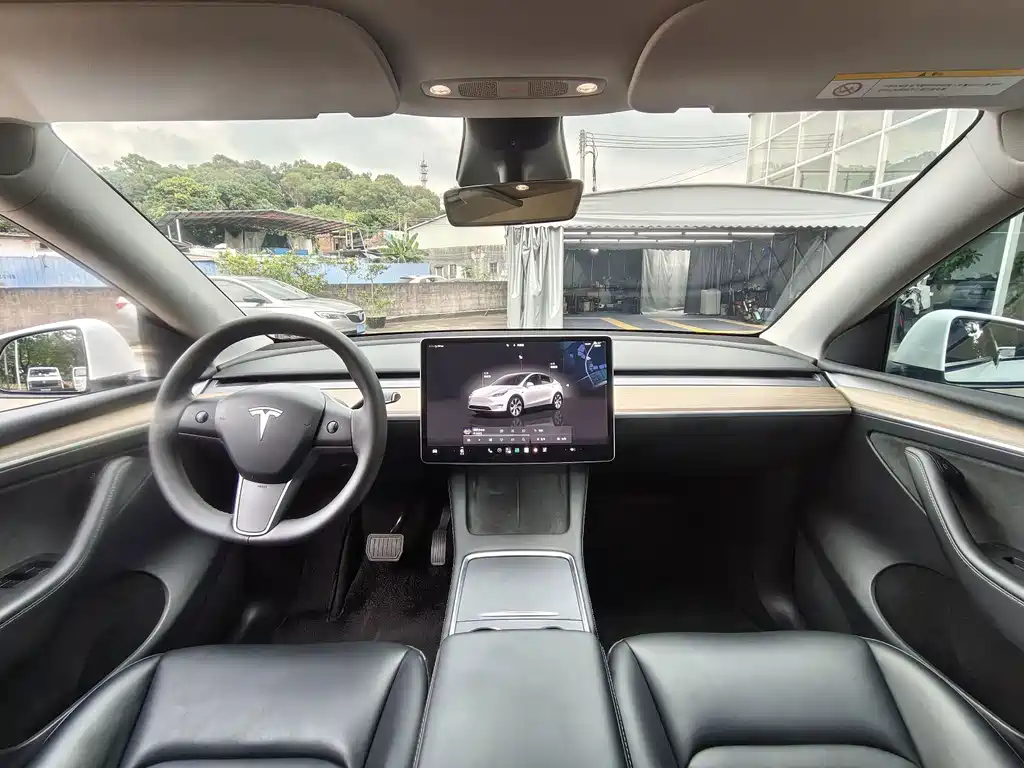 Tesla Model Y — миниатюра 14
