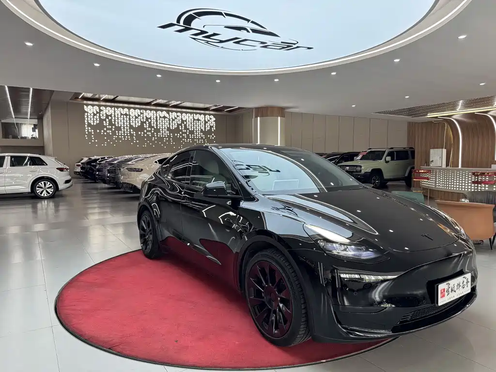 Tesla Model Y — миниатюра 3