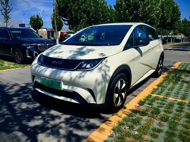 2026 BYD Dolphin