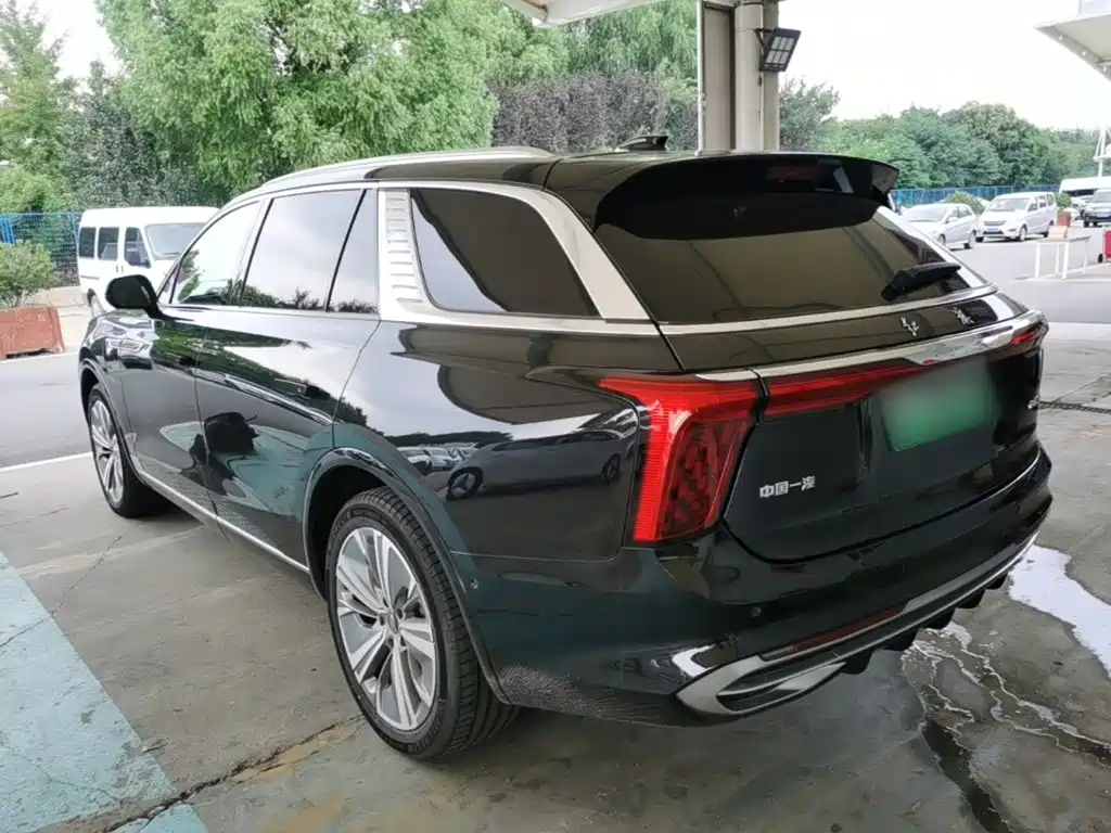 Hongqi Hongqi E-HS9 — миниатюра 5
