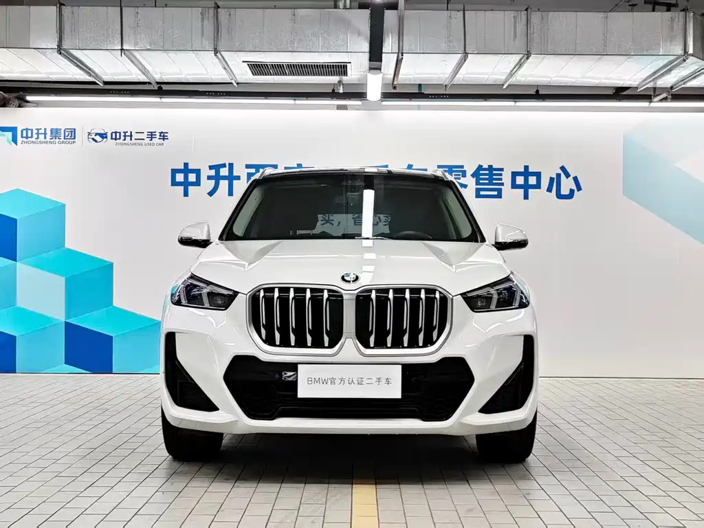 BMW X1 — миниатюра 2
