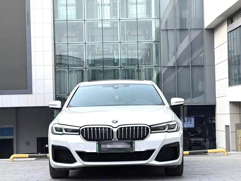BMW 5 Series New Energy — миниатюра 2