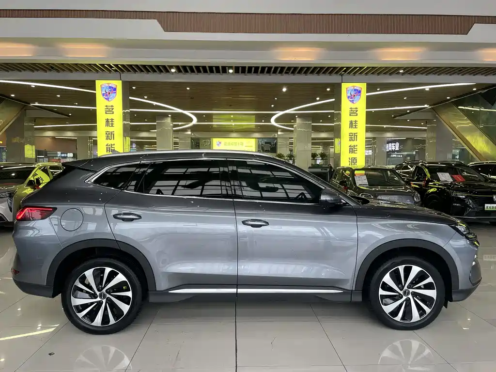 BYD SONGJIANG NEW ENERGY