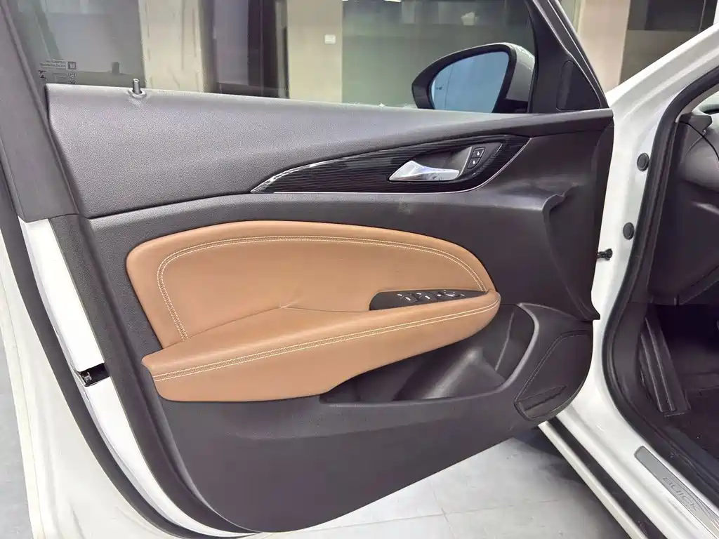 Buick Regal — миниатюра 13