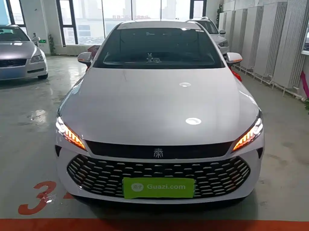 BYD Qin Plus PLUS 2025 DM-i Smart Drive 55KM Lead
