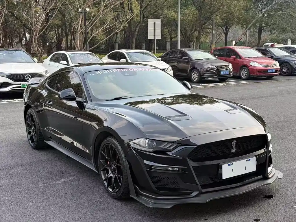 Ford Mustang — миниатюра 3