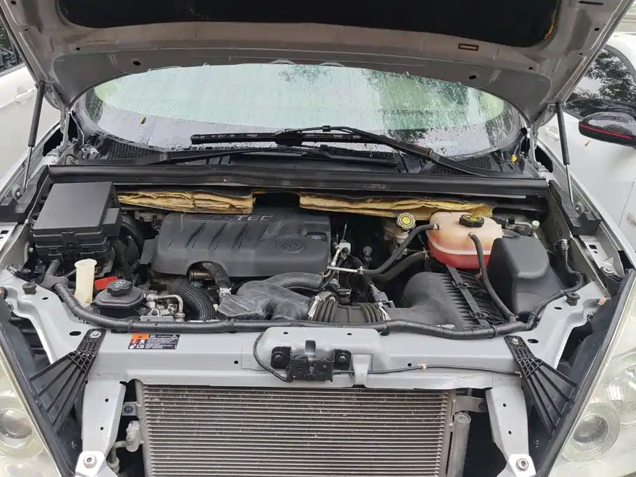 Buick GL8 — миниатюра 10