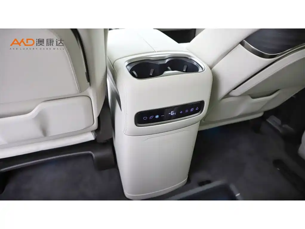 Denza Denza D9 — миниатюра 10