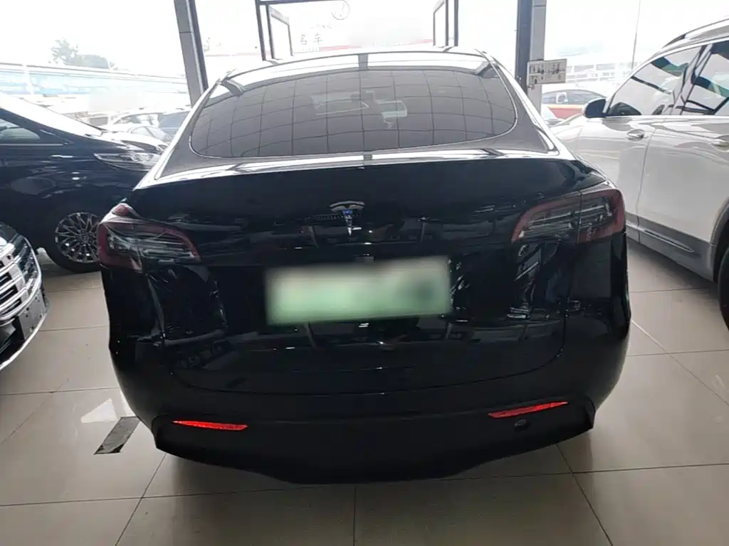 Tesla Model Y — миниатюра 6