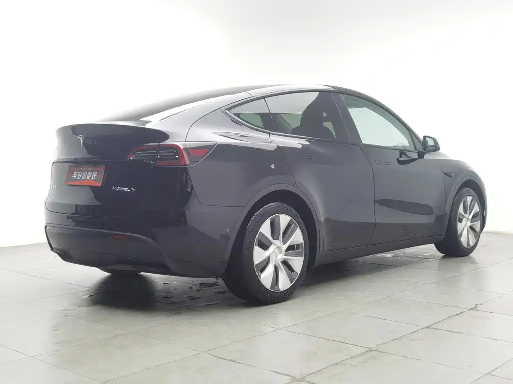 Tesla Model Y — миниатюра 2