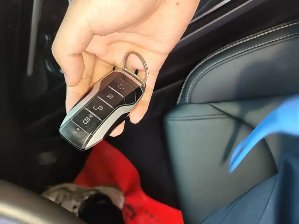 BYD Pro — миниатюра 9