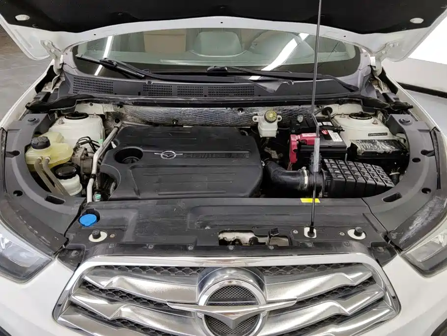 Haima Haima S5 — миниатюра 10