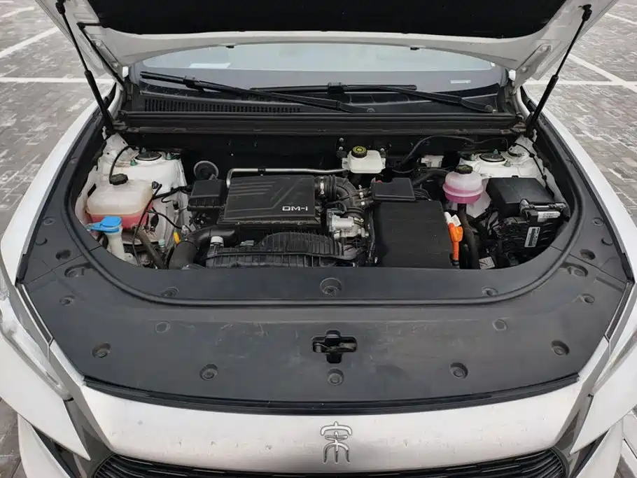 BYD Pro New Energy — миниатюра 10