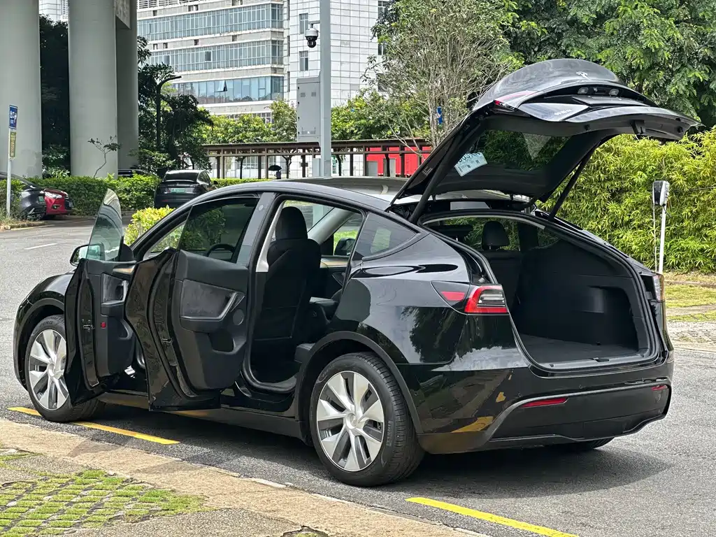 Tesla Model Y — миниатюра 14