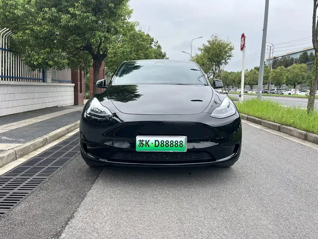 Tesla Model Y — миниатюра 2