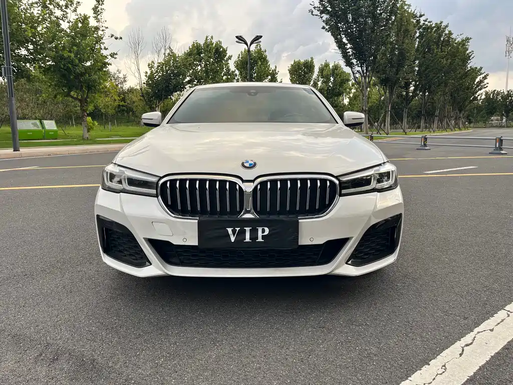 BMW 5 Series New Energy — миниатюра 2