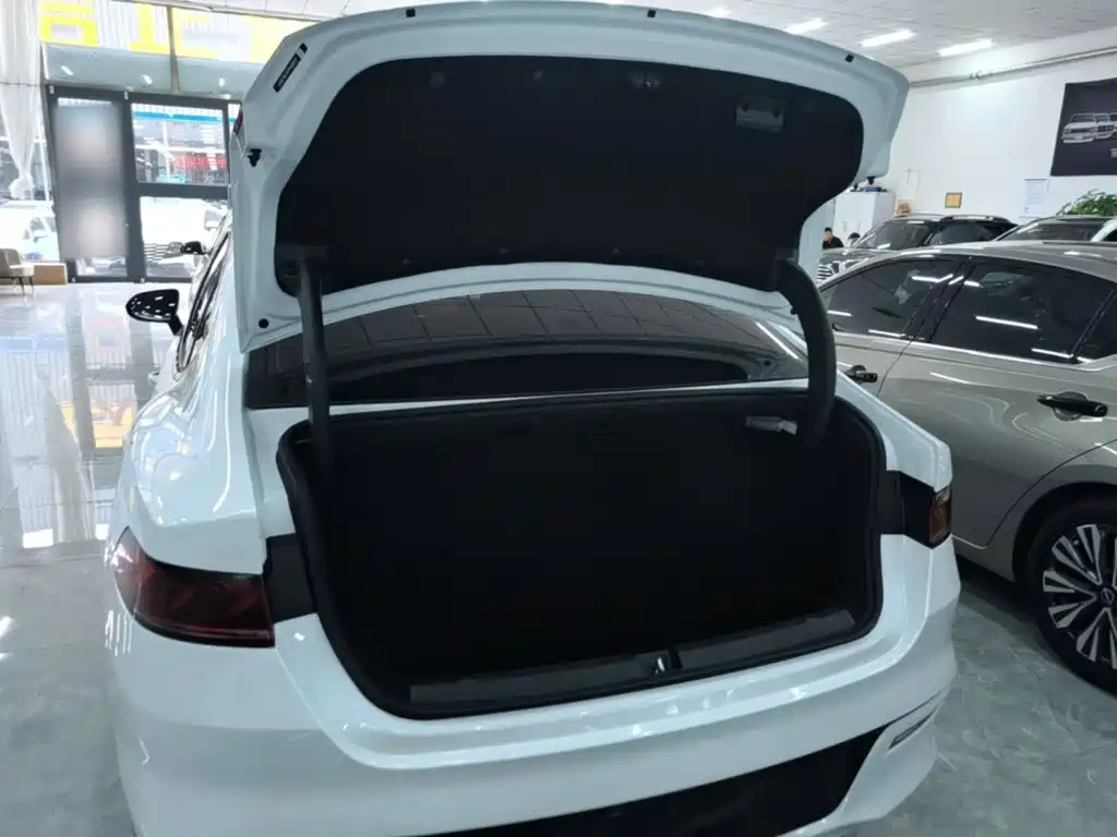 BYD Qin Plus — фотографии объявления, Фото 16
