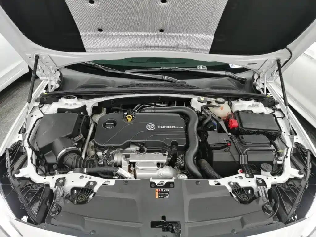 Buick Regal — миниатюра 20