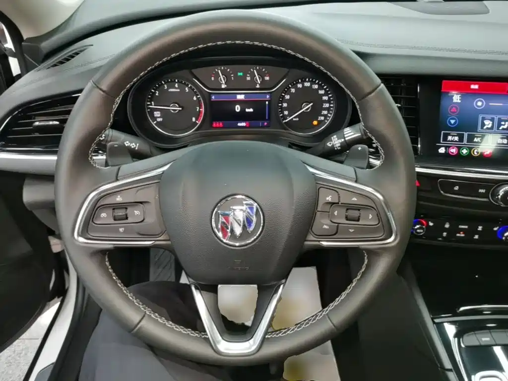 Buick Regal — миниатюра 11
