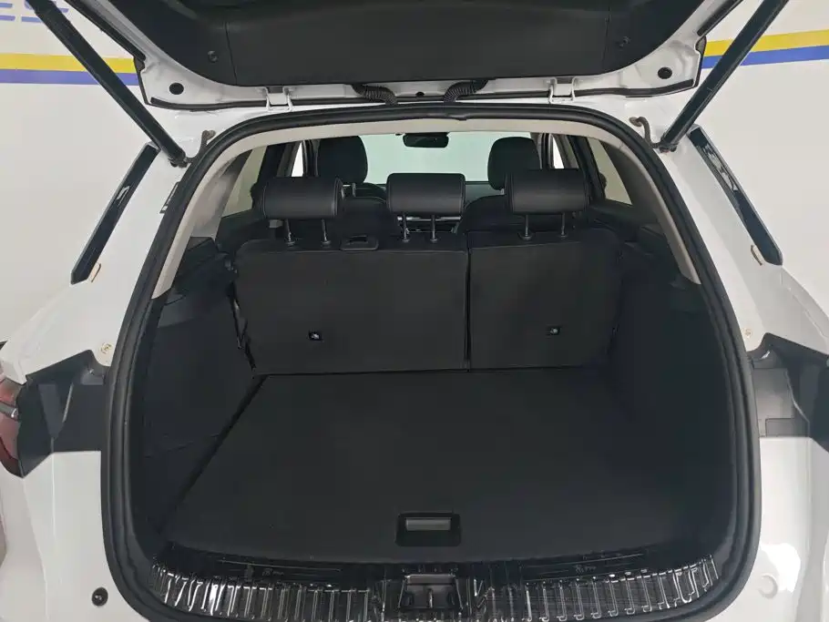 BYD Pro — миниатюра 4