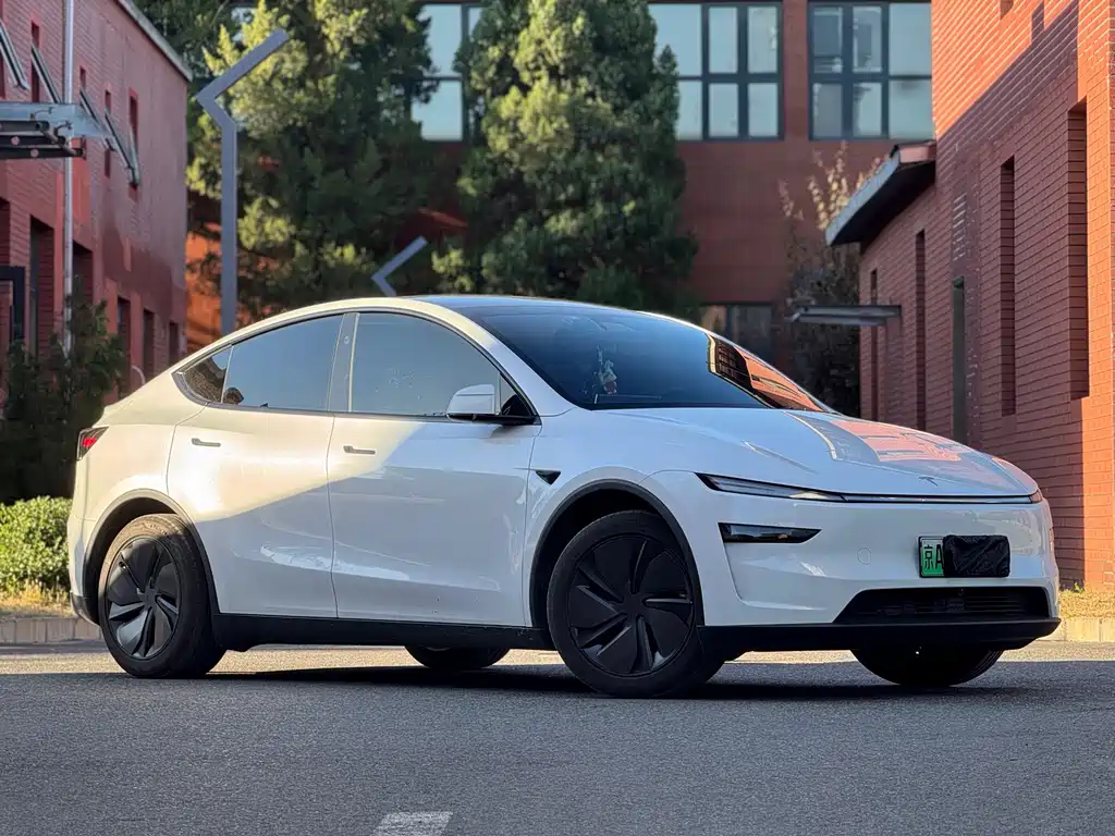 Tesla Model Y — миниатюра 3