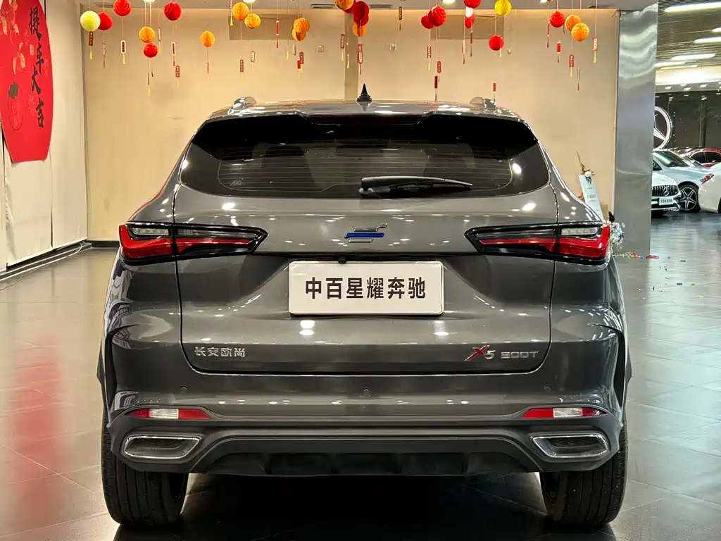 Oshan Oushang X5 — миниатюра 7