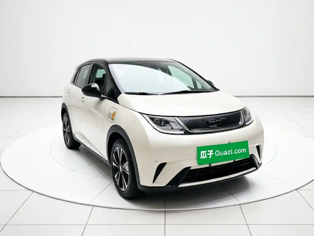 BYD Dolphin — миниатюра 3