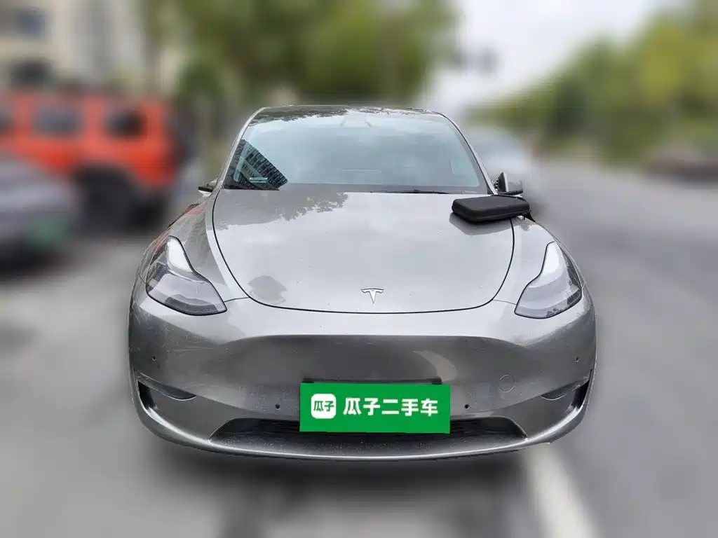 Tesla Model Y — миниатюра 2