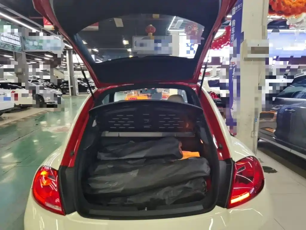 Volkswagen Beetle — миниатюра 19