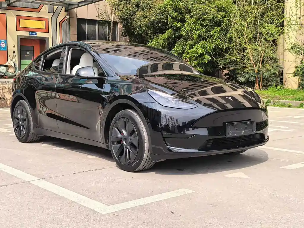 Tesla Model Y — миниатюра 3