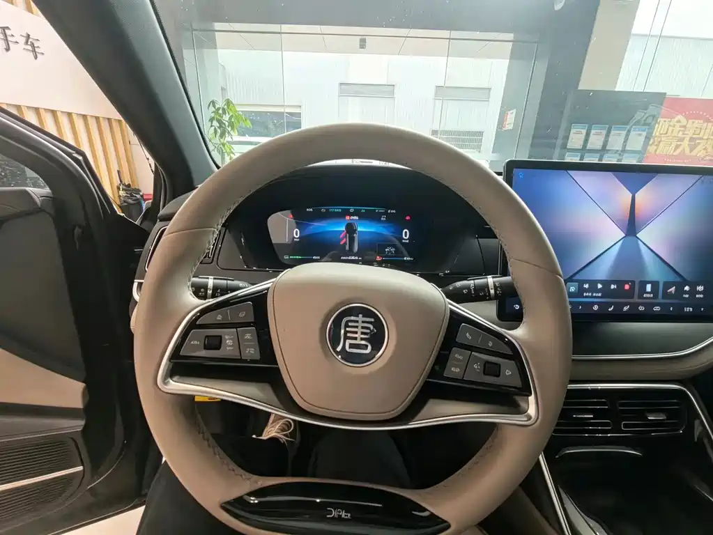 BYD Tang New Energy — миниатюра 11