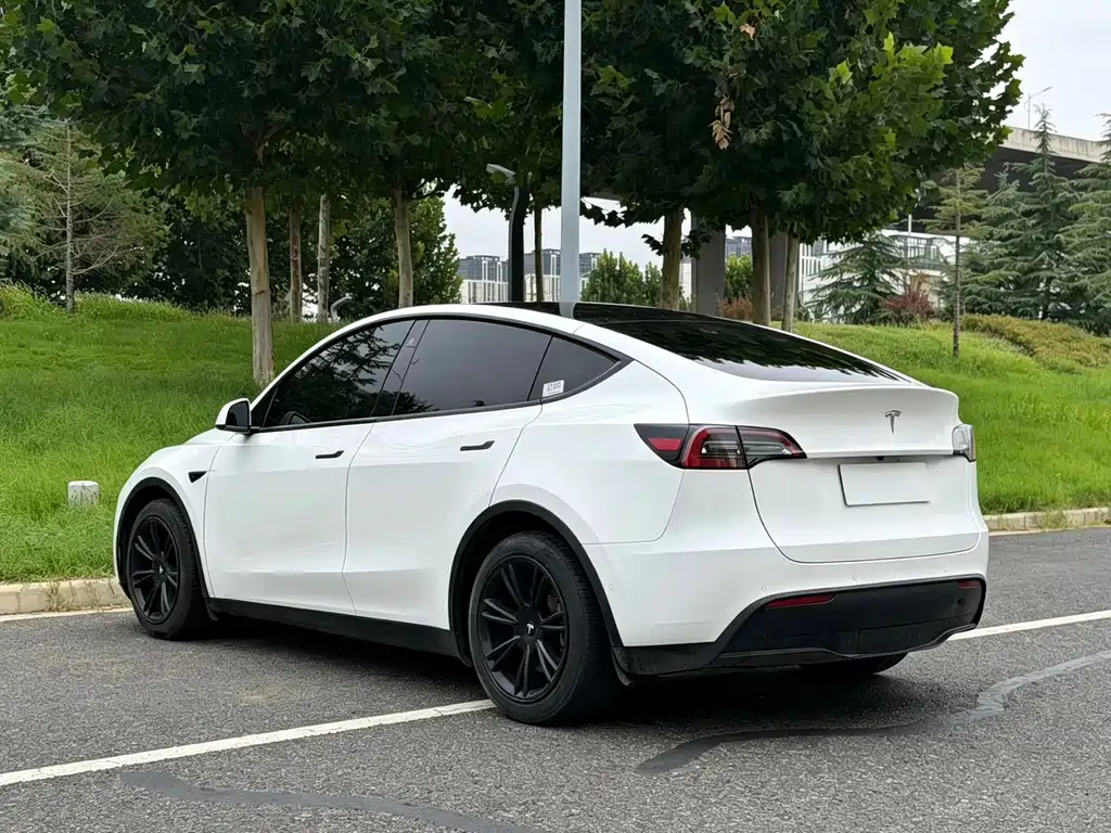 Tesla Model Y — миниатюра 8