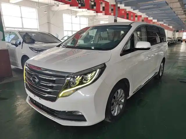2019 GAC GN8