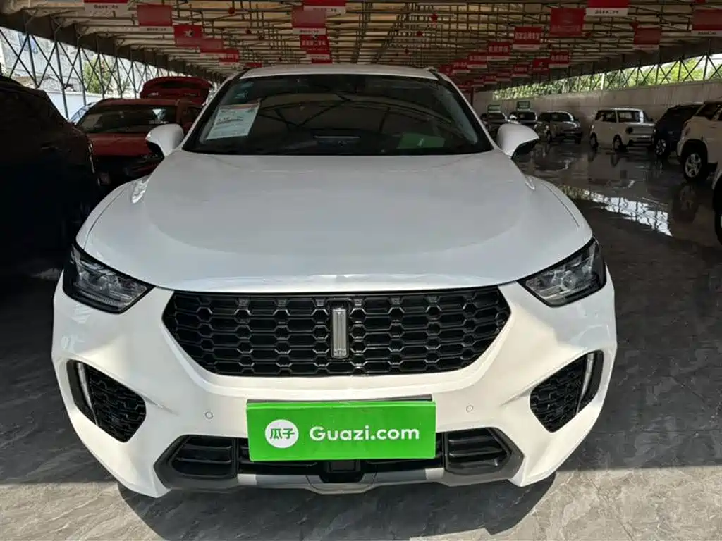 WEI PAI WEI BRAND VV5