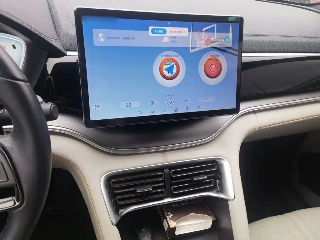BYD PLUS New Energy — миниатюра 6