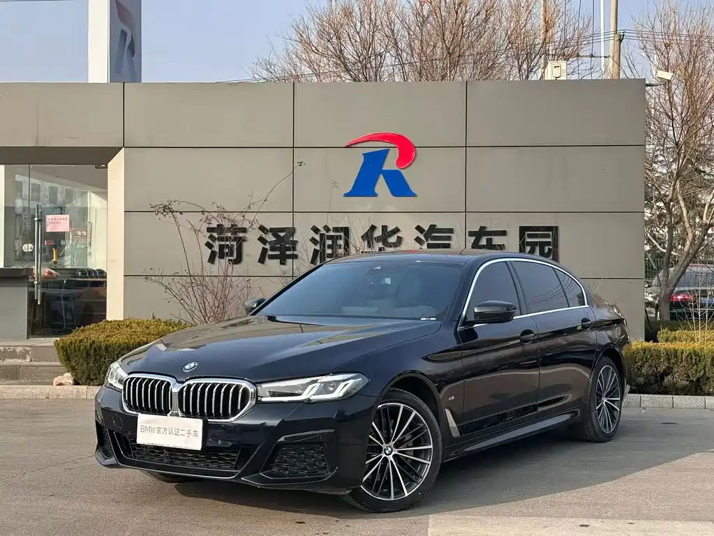 BMW 5 SERIES
