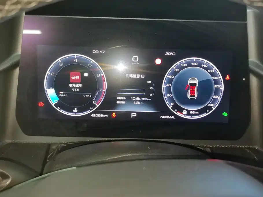 Haval 长城大狗 — миниатюра 14