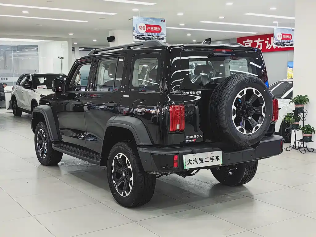 TANK TANK 300 NEW ENERGY