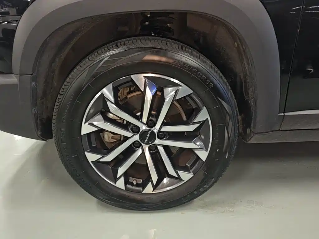 Haval Big Dog — миниатюра 23