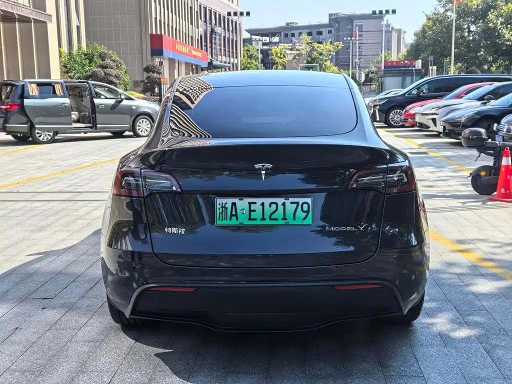 Tesla Model Y — миниатюра 5