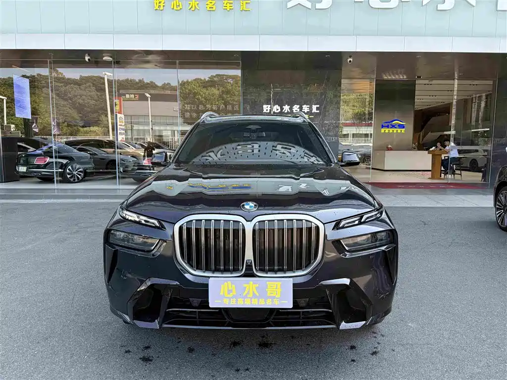 BMW X7 — миниатюра 2