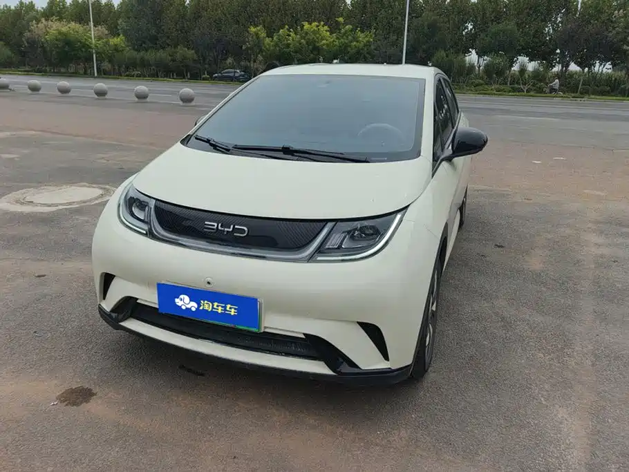 BYD Dolphin — миниатюра 2