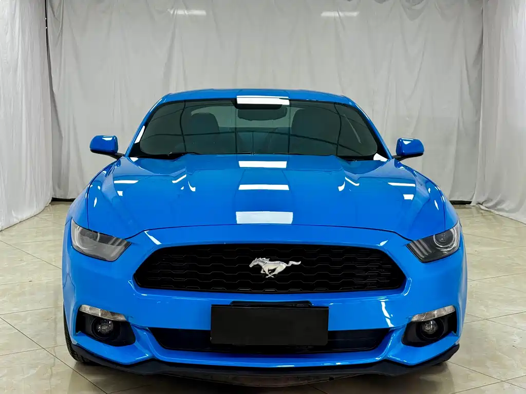 Ford Mustang 2.3T Performance Edition, фото 2