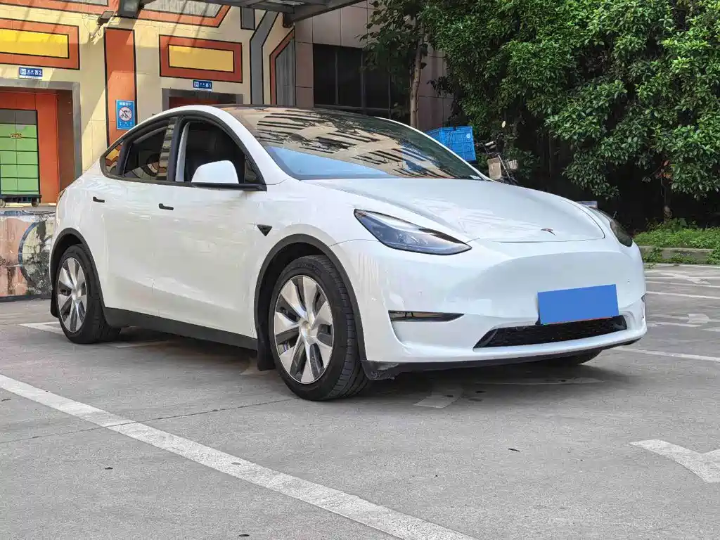 Tesla Model Y — миниатюра 3