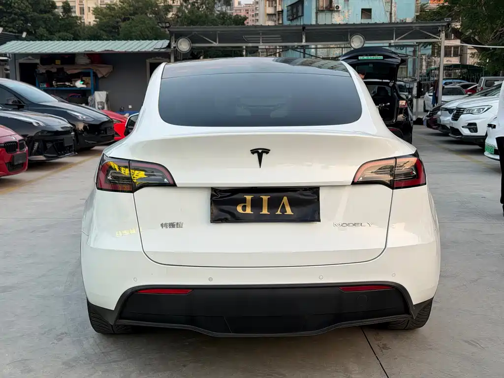 Tesla Model Y — миниатюра 5