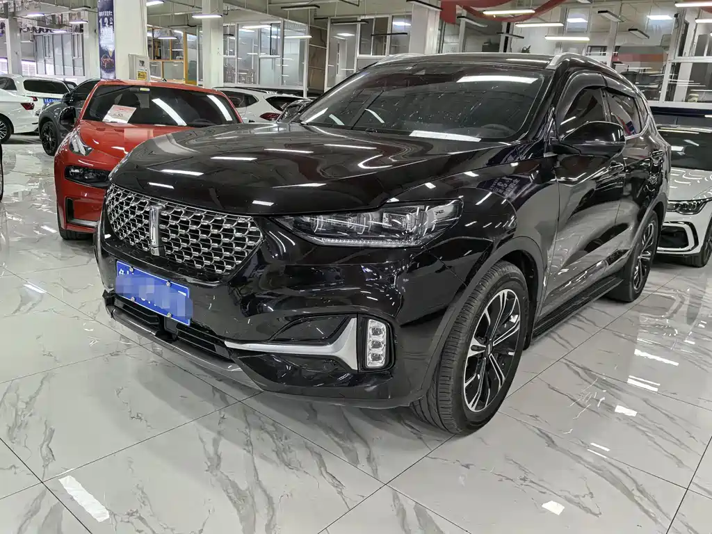 Wey Wey VV6 2020
