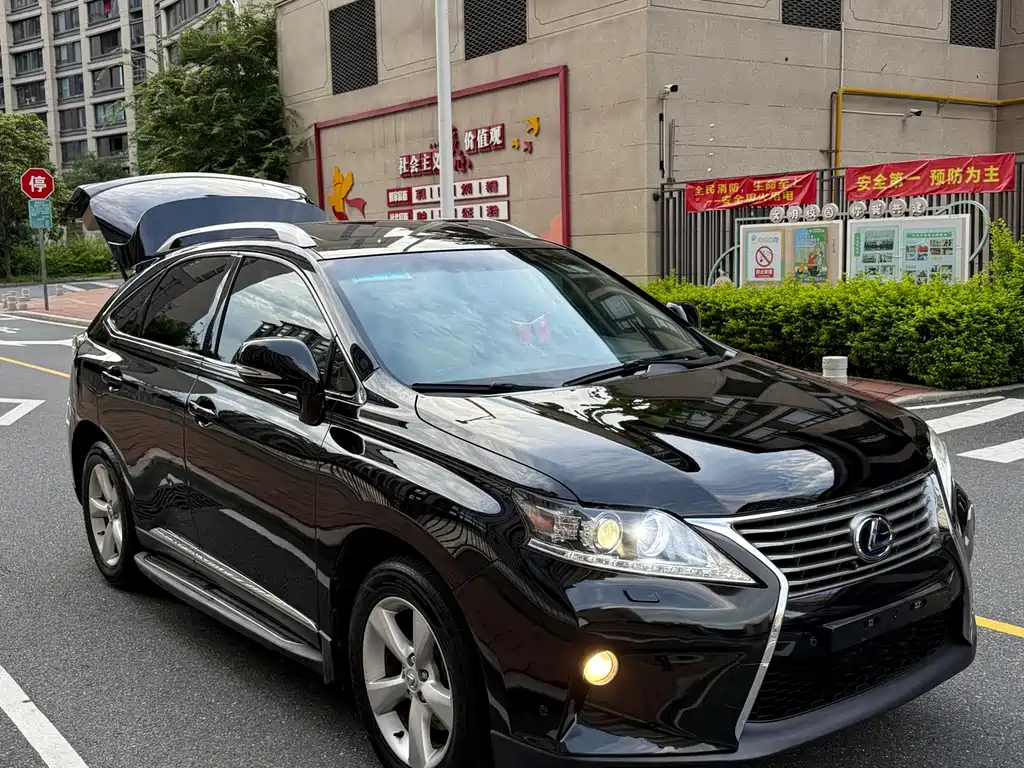 Lexus RX Classic — миниатюра 6