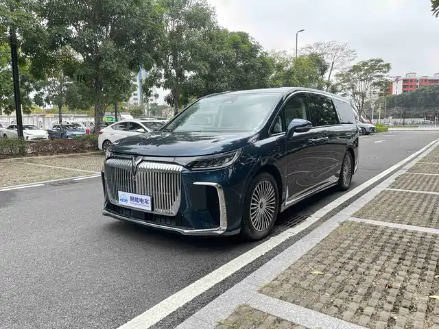 2024 Voyah Dream