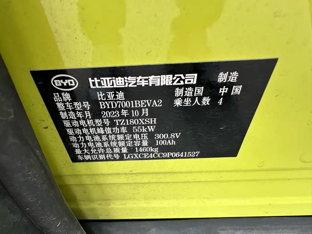 BYD Seagull